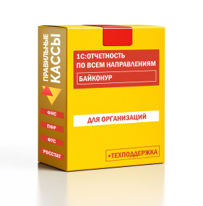 Отчетность_орг_Байконур